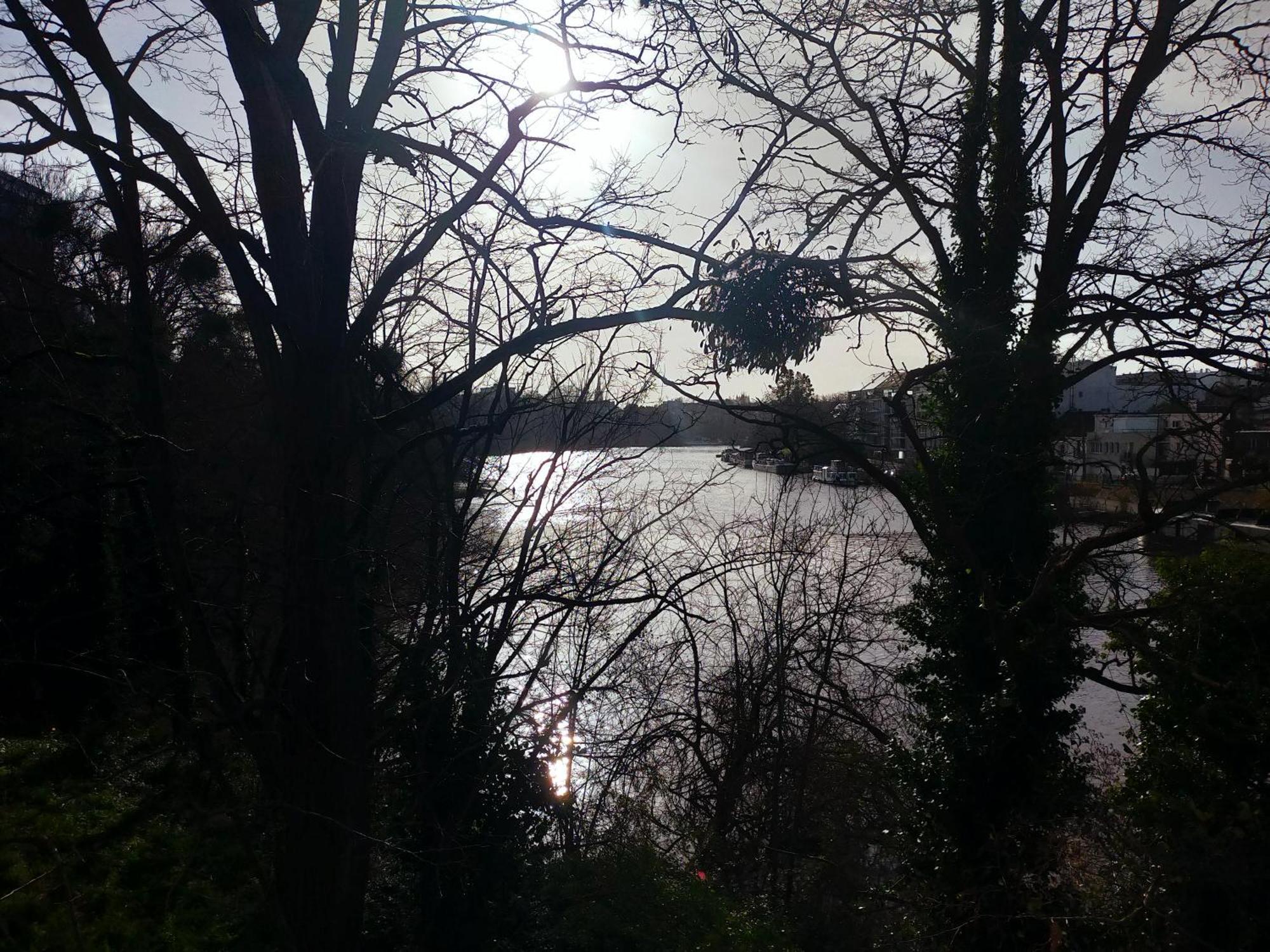 L'arbre Aux Herons - Panoramique Wifi * Nantes